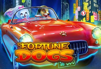 Fortune Dogs